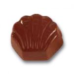 Placca policarbonato per cioccolatini a conchiglia