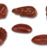 Placca policarbonato per cioccolatini set marino