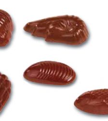 Placca policarbonato per cioccolatini set marino