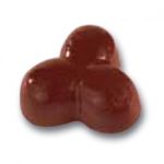 Placca policarbonato per cioccolatini trinocciola