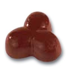Placca policarbonato per cioccolatini trinocciola