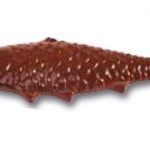Placca policarbonato per pesci di cioccolata