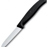 Victorinox coltello spelucchino 10cm