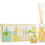 BAOBAB Confezione Regalo My First Baobab MIAMI